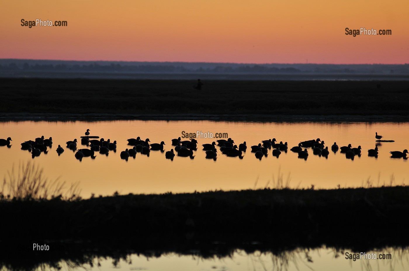 BAIE DE SOMME, FRANCE 