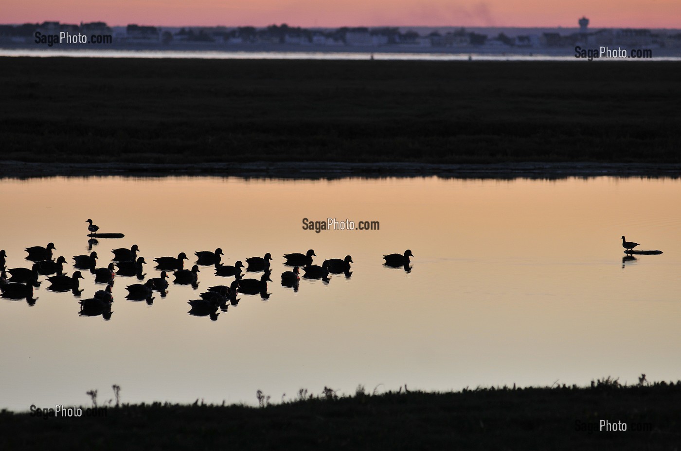 BAIE DE SOMME ET BAIN DE LUMIERE, FRANCE 