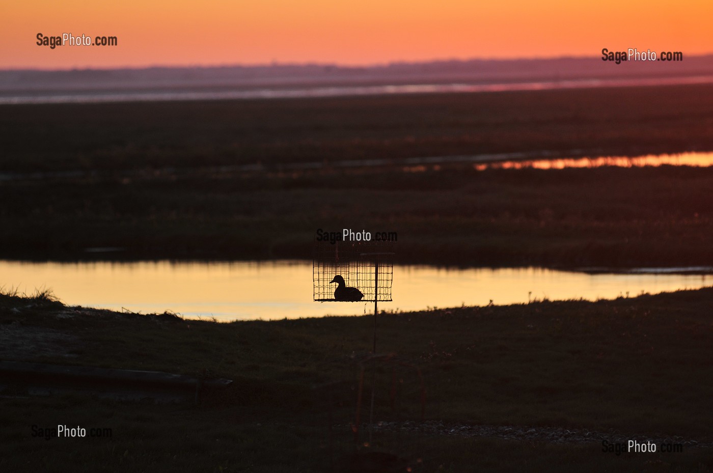 BAIE DE SOMME, FRANCE 