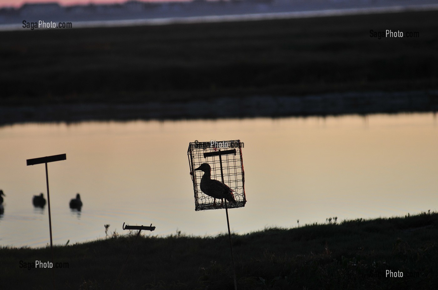 BAIE DE SOMME, FRANCE 