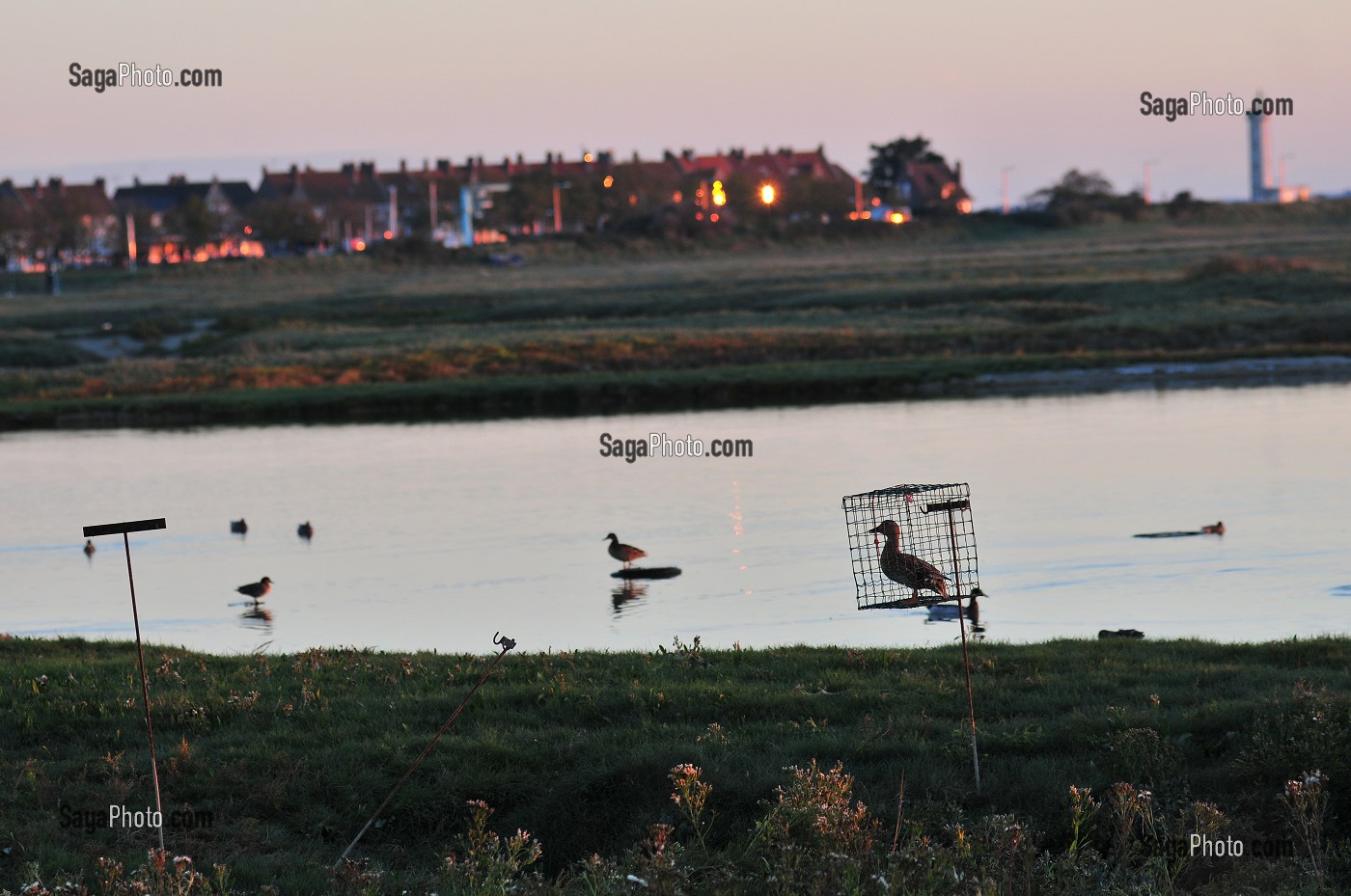 BAIE DE SOMME, FRANCE 