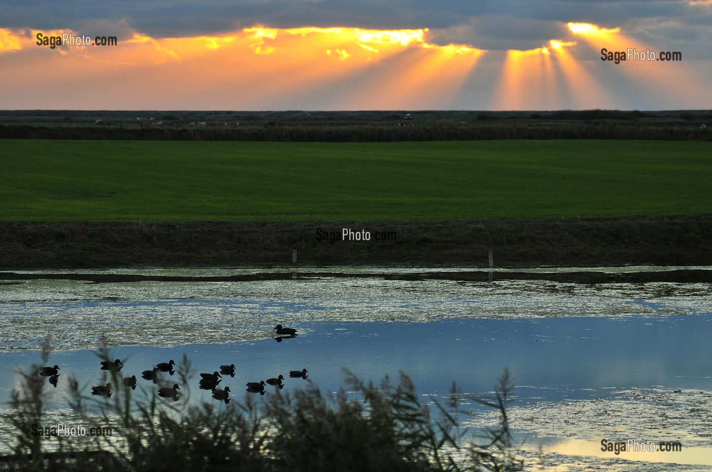 BAIE DE SOMME ET BAIN DE LUMIERE, FRANCE 