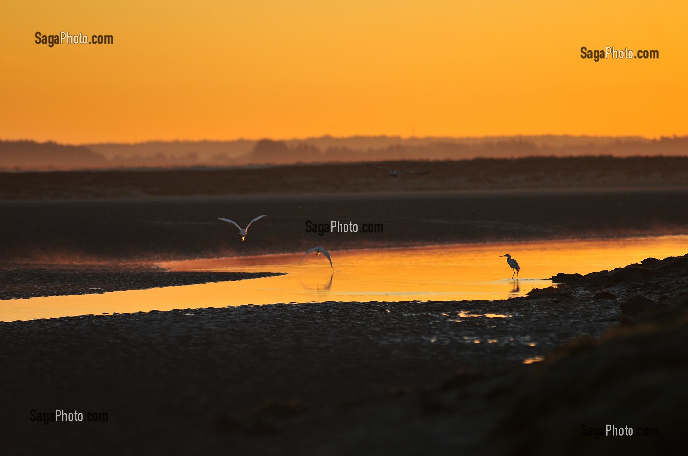 BAIE DE SOMME, FRANCE 