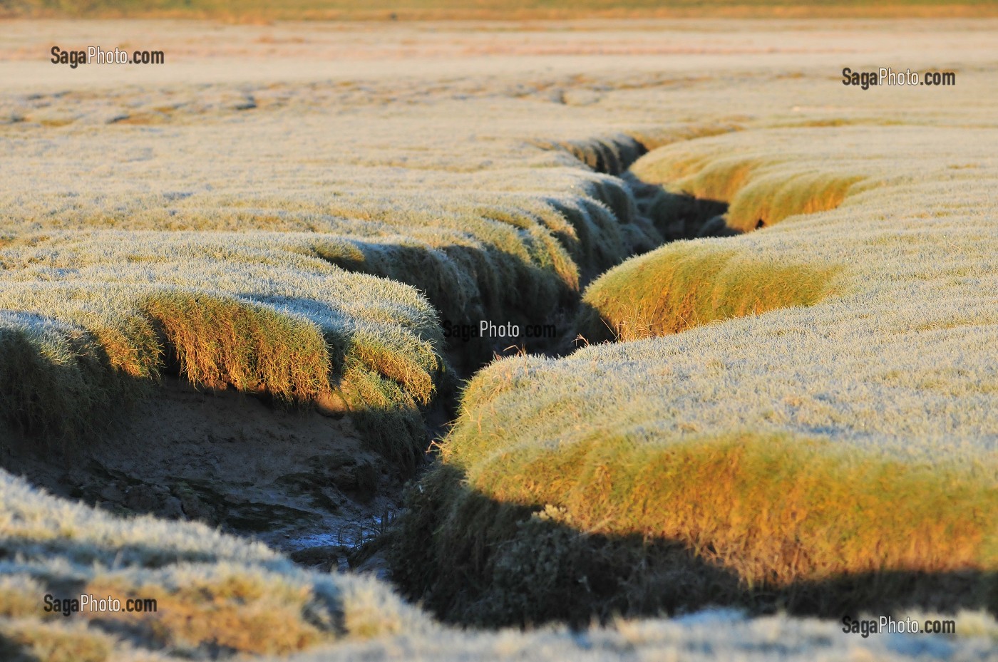 BAIE DE SOMME, FRANCE 