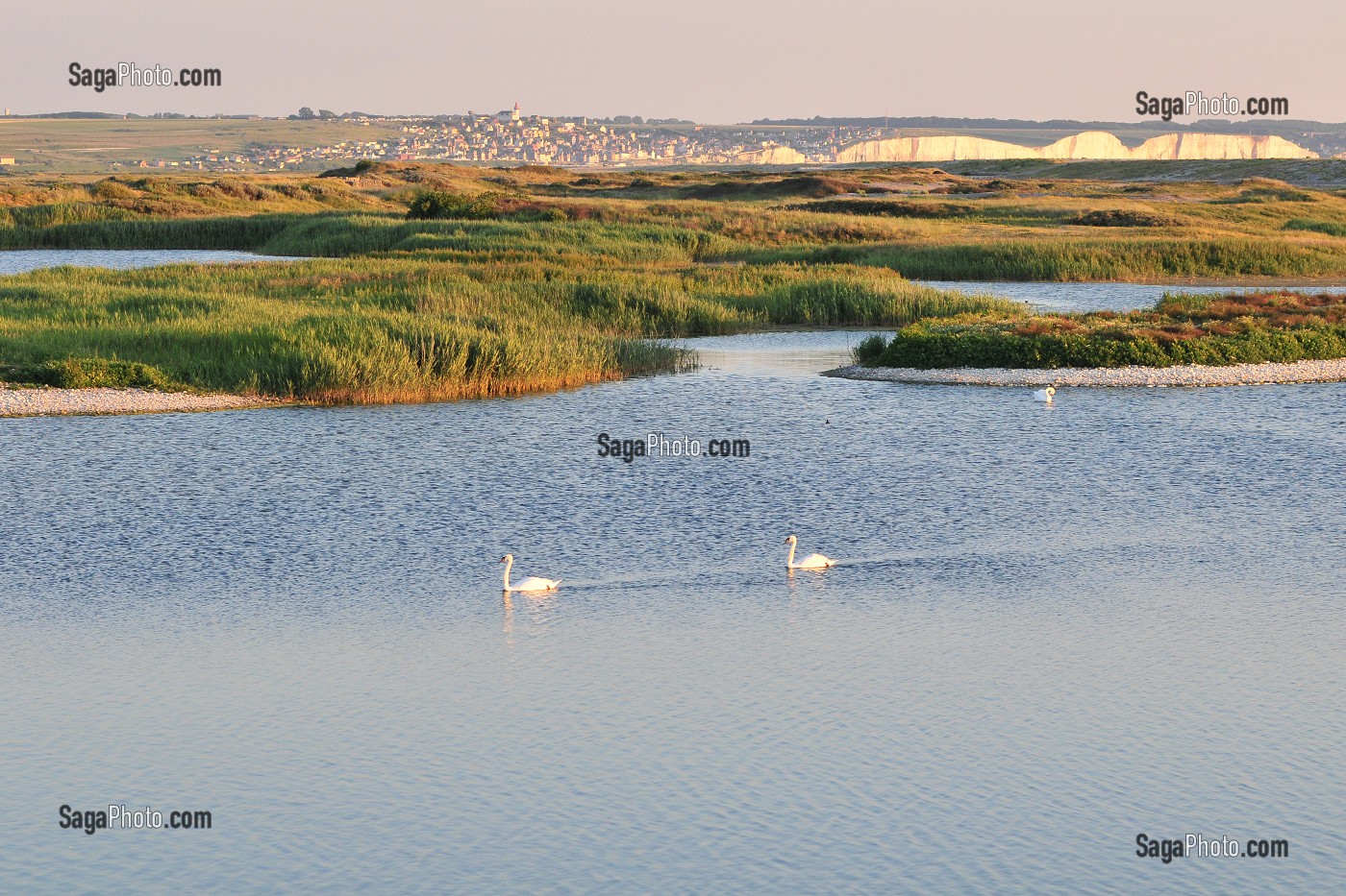 BAIE DE SOMME, FRANCE 