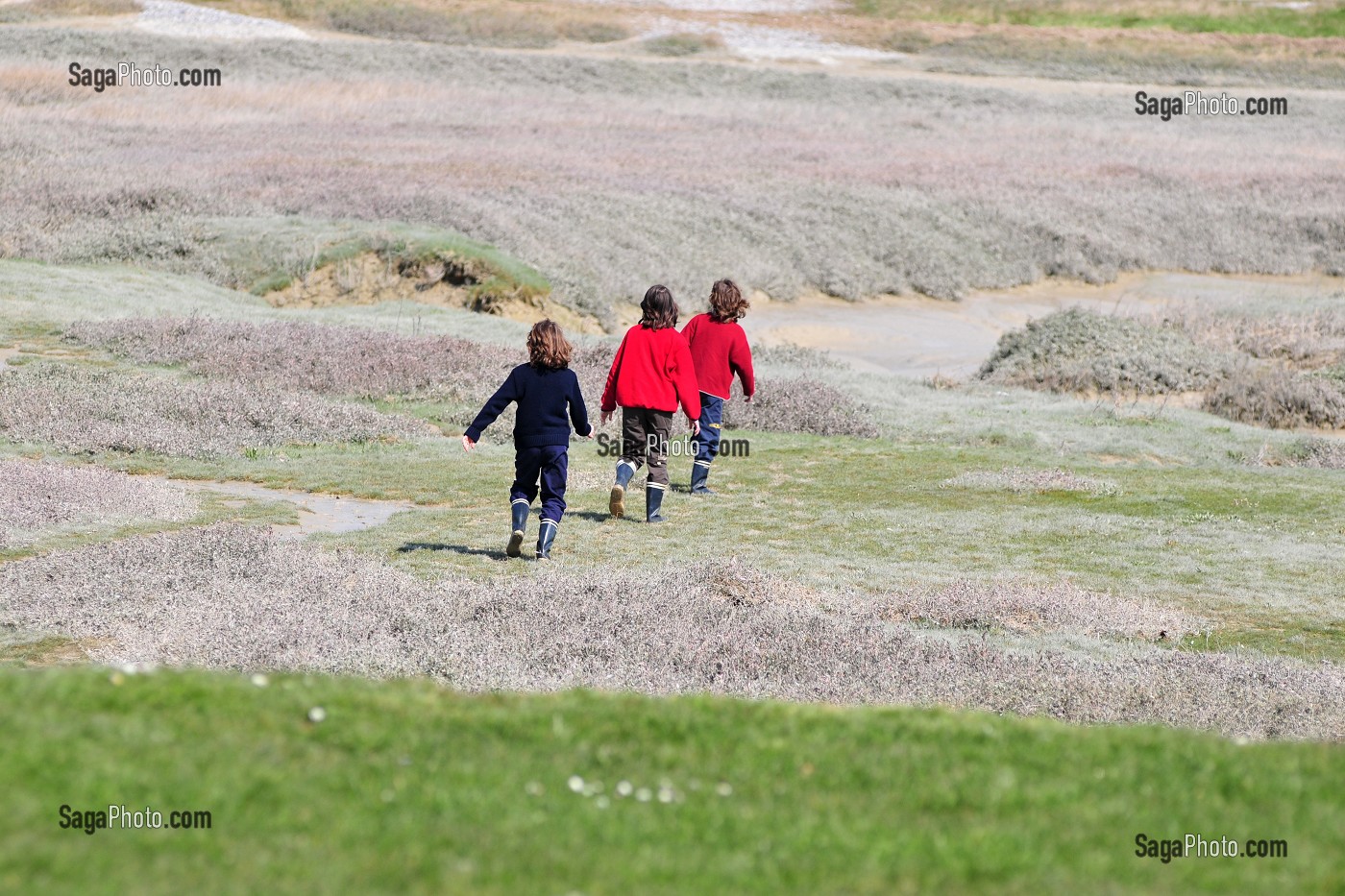 BAIE DE SOMME, FRANCE 