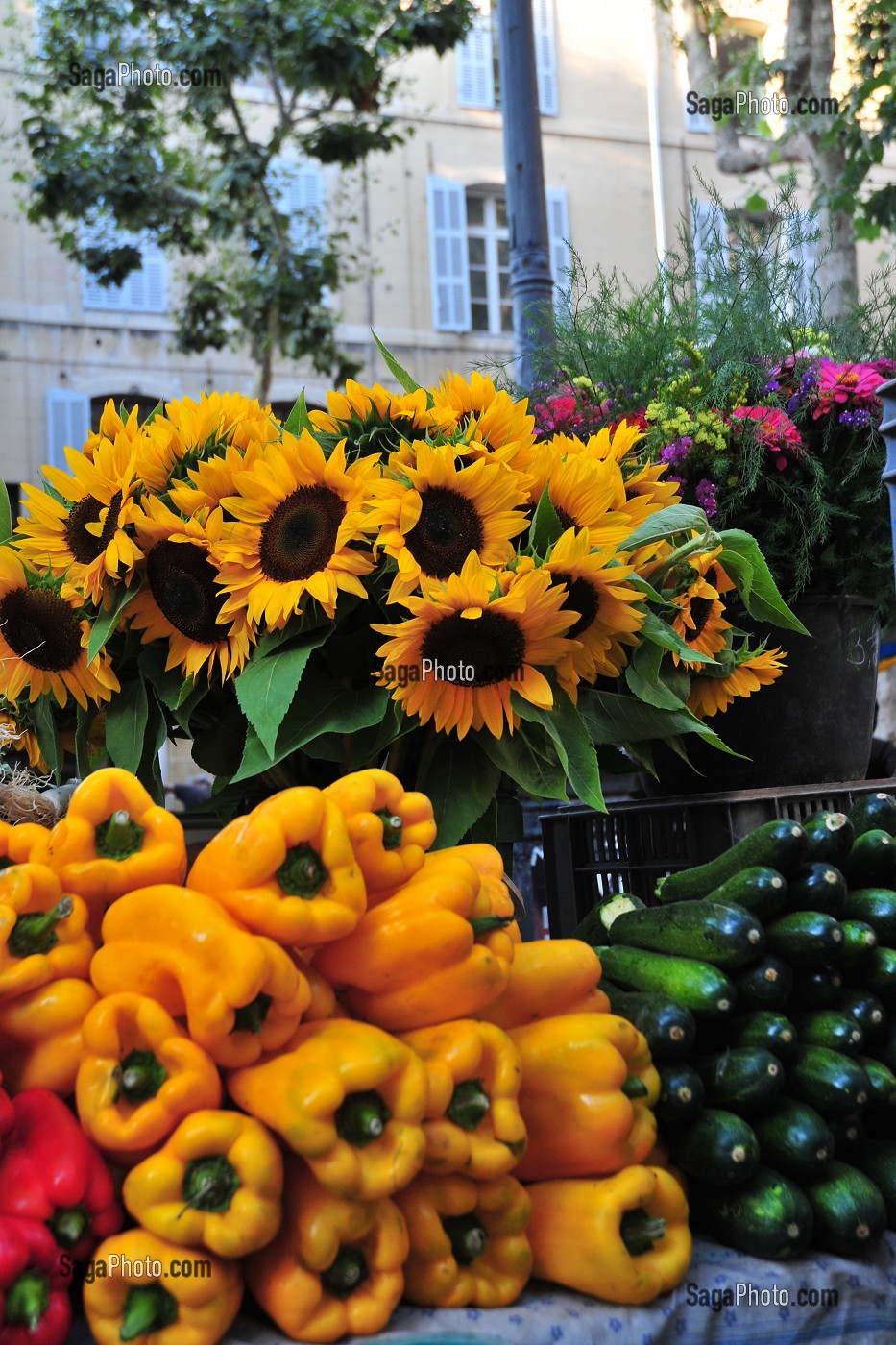 VENTE DE LEGUMES ET DE FLEURS DE TOURNESOL SUR LE MARCHE, AIX-EN-PROVENCE, BOUCHES-DU-RHONE (13), FRANCE 