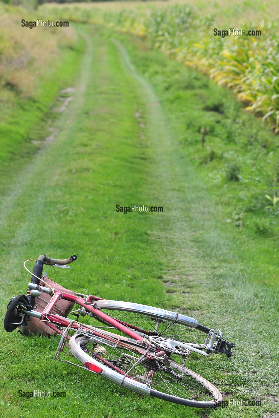 VELO ABANDONNE DANS UN CHEMIN, AU MILIEU DES CHAMPS 