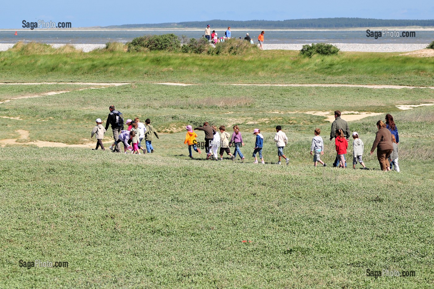 BAIE DE SOMME, FRANCE 