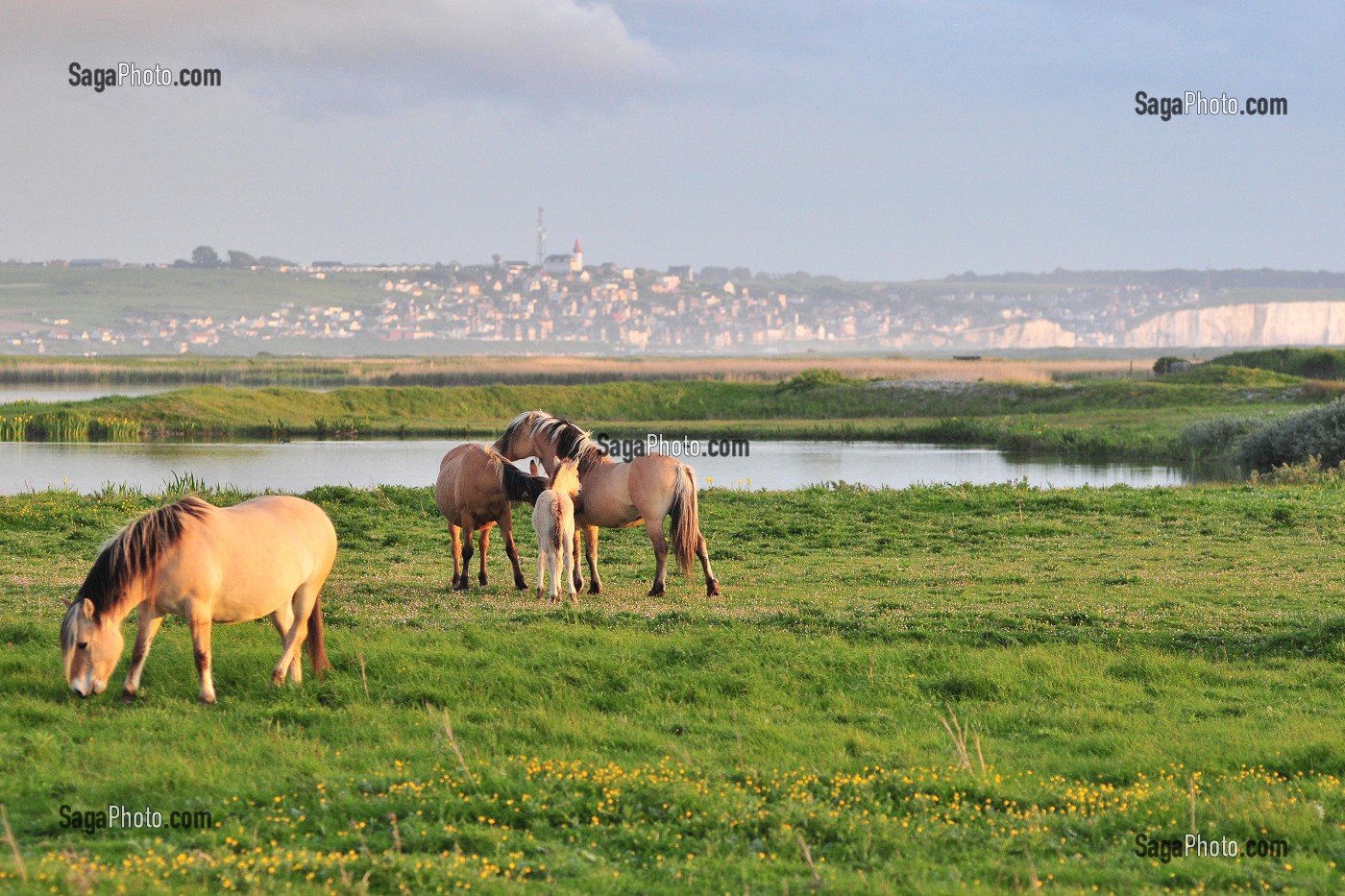 BAIE DE SOMME ET BAIN DE LUMIERE, FRANCE 