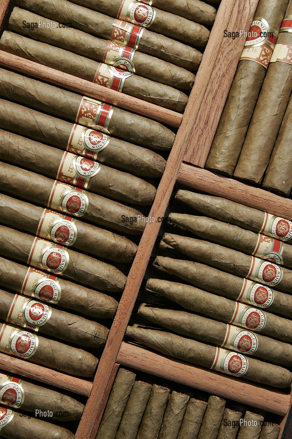 BOITE DE CIGARES, P.G.C. HAJENIUS, BOUTIQUE DE TABAC ET CIGARES, ROKIN, AMSTERDAM, PAYS-BAS 