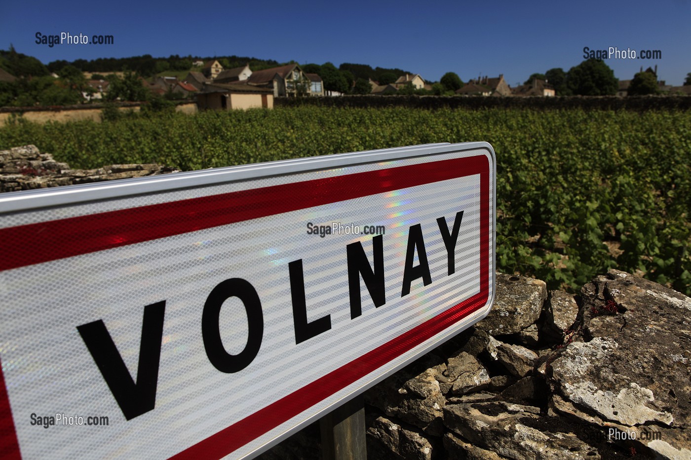 ILLUSTRATION VIN, FRANCE 