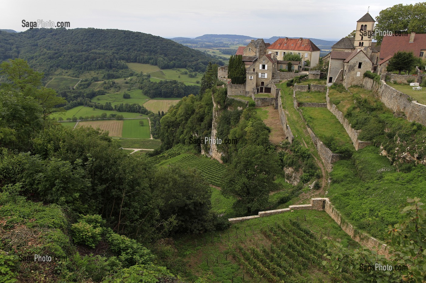 ILLUSTRATION VIN, FRANCE 