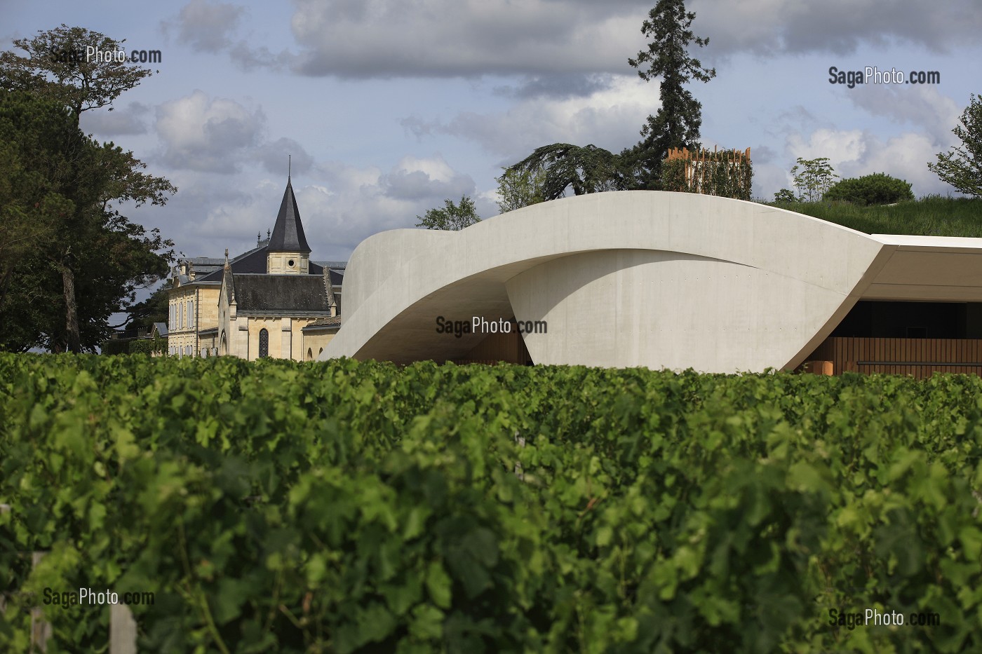 ILLUSTRATION VIN, FRANCE 