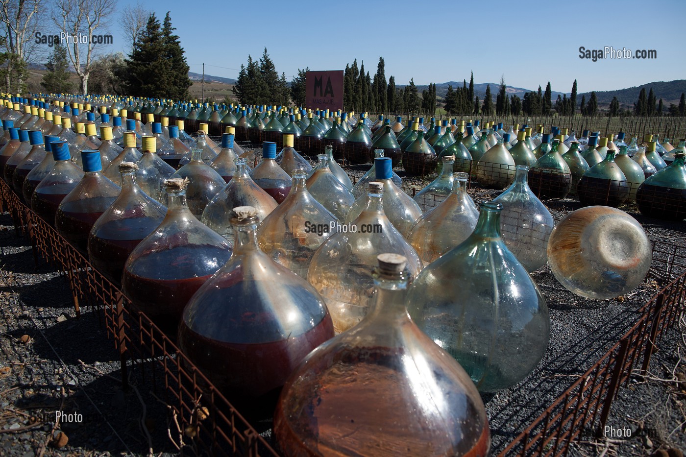 ILLUSTRATION VIN, FRANCE 