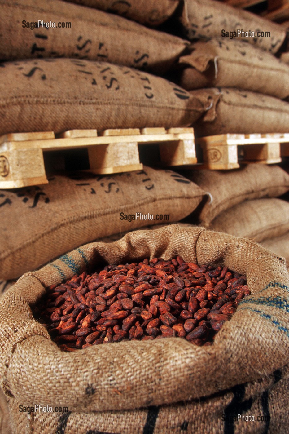FEVES DE CACAO DANS DES SACS EN TOILE DE JUTE POUR LE TRANSPORT, CHOCOLATERIE MICHEL CLUIZEL, DAMVILLE, EURE (27), FRANCE 