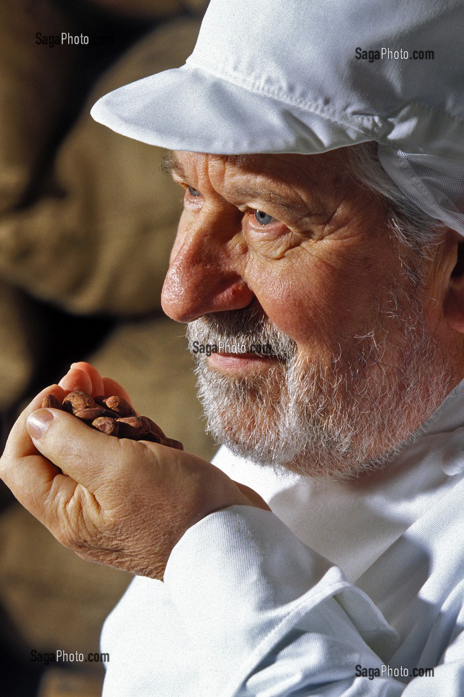 CONTROLE DU PARFUM (ODEUR) DES FEVES DE CACAO DANS DES SACS EN TOILE DE JUTE, CHOCOLATERIE MICHEL CLUIZEL, DAMVILLE (27), FRANCE 