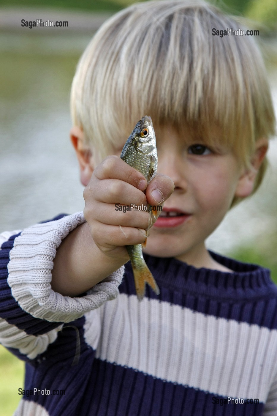 REGARD D'UN JEUNE ENFANT SUR SA PREMIERE PRISE (PECHE EN FAMILLE AU BORD DE L'ETANG DE CUNLHAT (63), FRANCE 