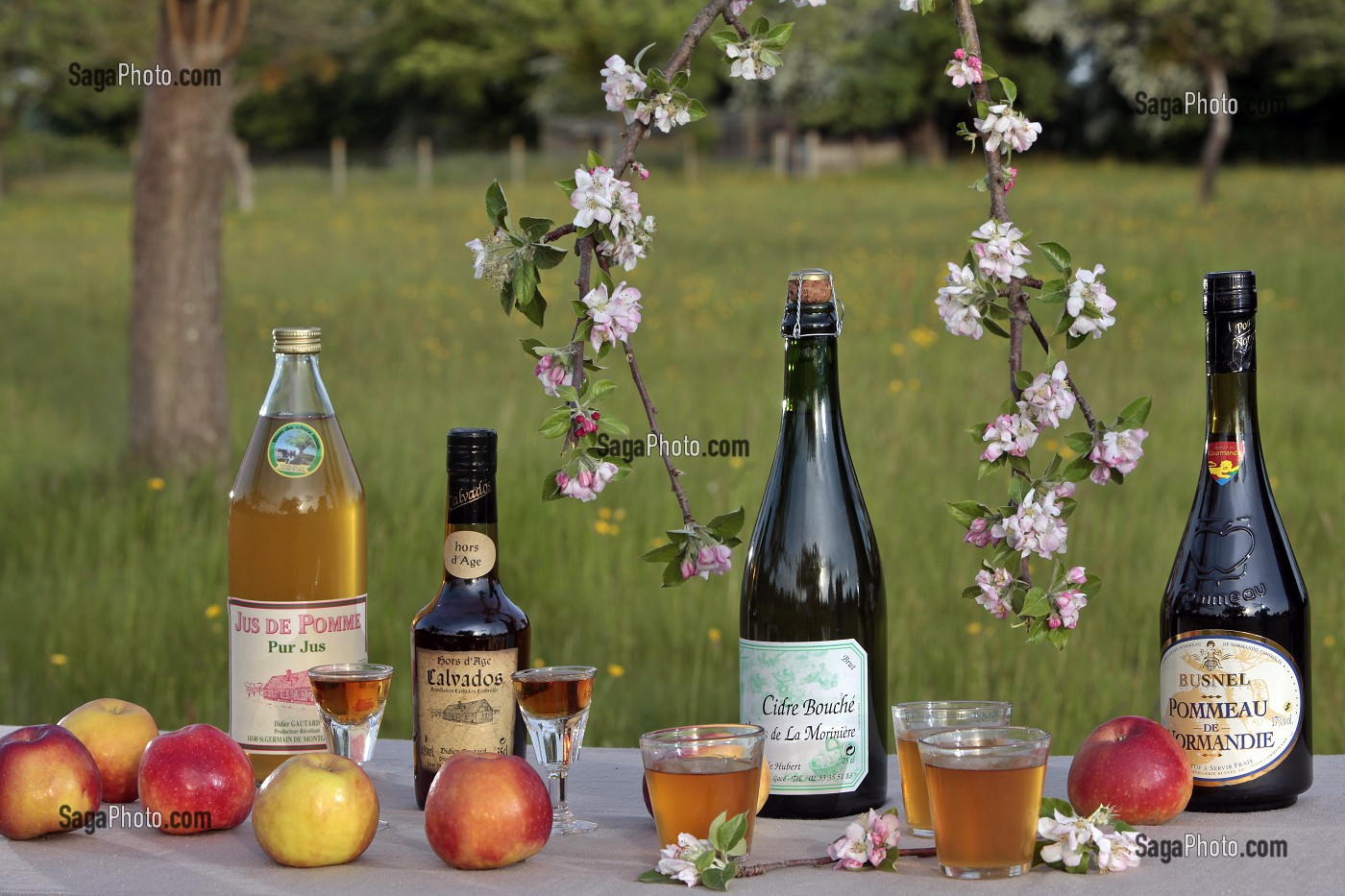 BOISSONS DU TERROIR DE NORMANDIE (CIDRE, CALVADOS, POMMEAU, JUS DE POMMES...), FRANCE 