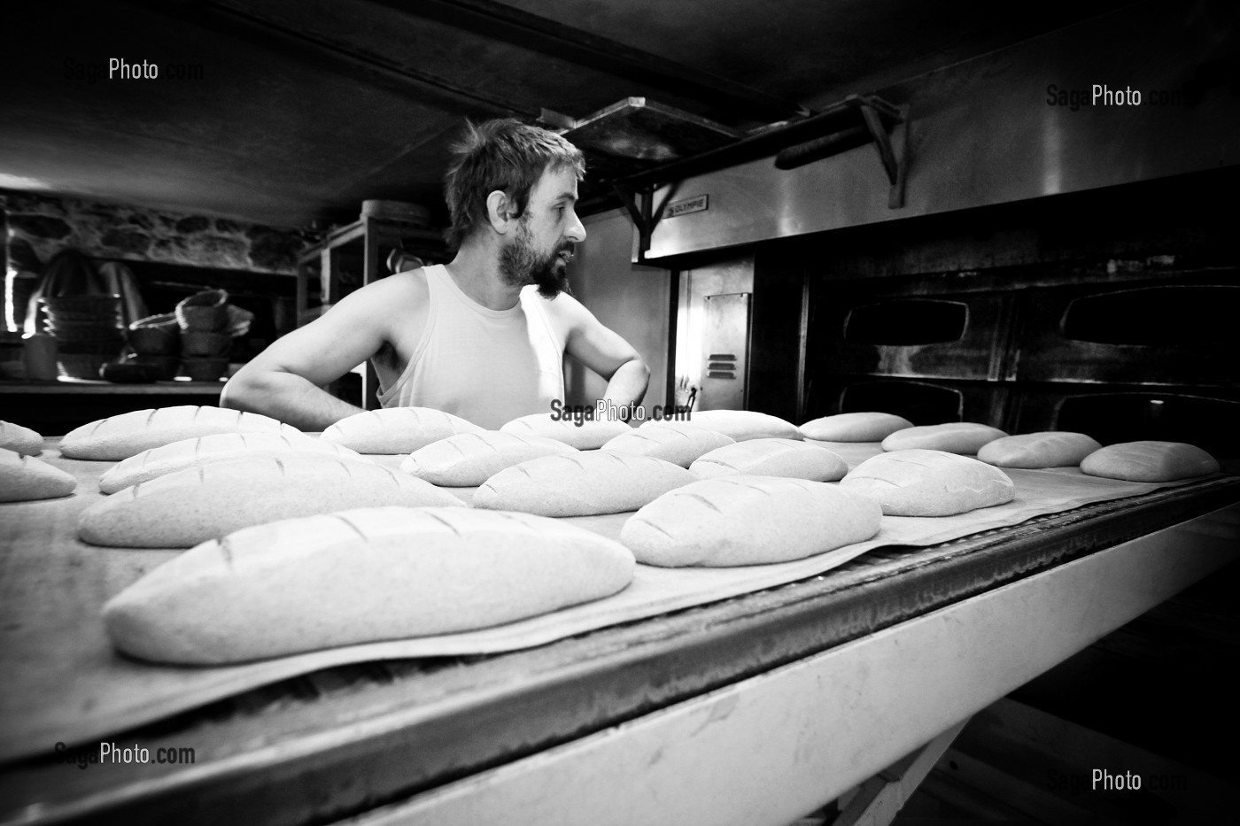 JEROME, BOULANGER FABRICANT DU PAIN ISSU DE L'AGRICULTURE BIOLOGIQUE APRES UNE ORIENTATION VERS L'EDUCATION NATIONALE, IL S'INSTALLE DANS LA CREUSE, FRANCE 