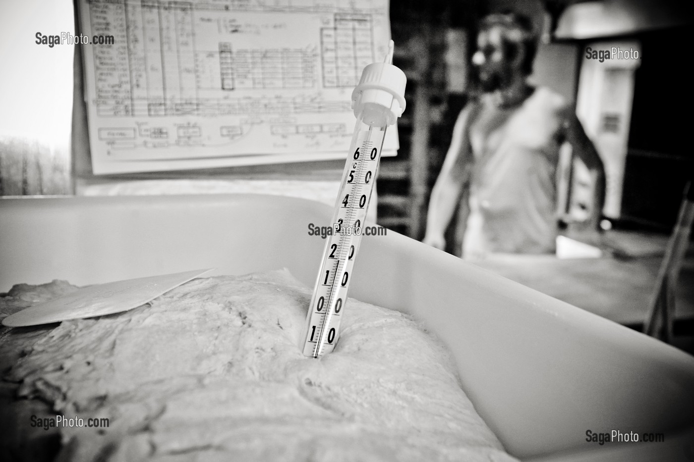 JEROME, BOULANGER FABRICANT DU PAIN ISSU DE L'AGRICULTURE BIOLOGIQUE APRES UNE ORIENTATION VERS L'EDUCATION NATIONALE, IL S'INSTALLE DANS LA CREUSE, FRANCE 