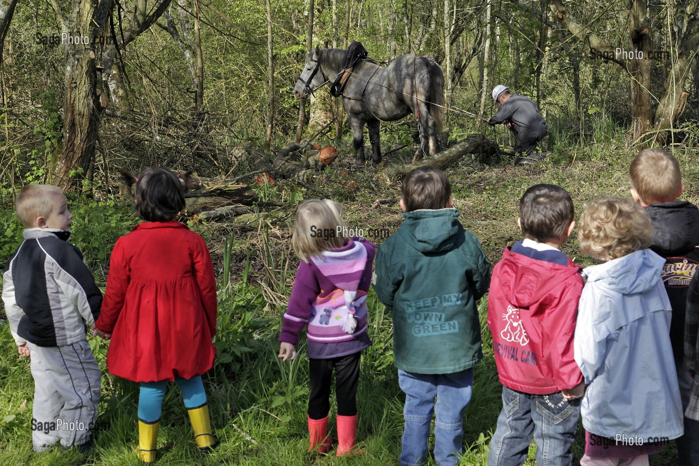 VISITE DES ECOLES SUR UN CHANTIER NATURA 2000 AUX BOIS DU GATS, CHATEAUDUN, FRANCE 