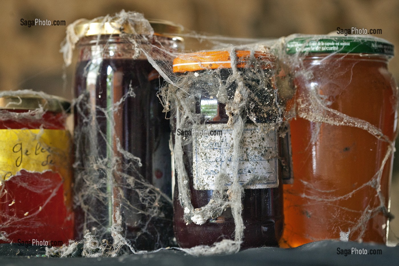 VIEUX BOCAUX DE CONFITURE STOCKES DANS LA CAVE ET RECOUVERTS DE TOILES D'ARAIGNEE 