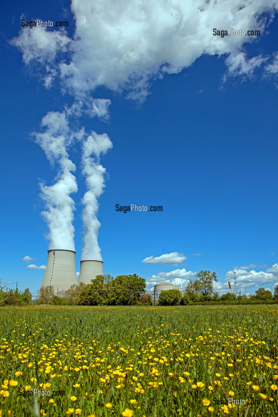 CENTRALE NUCLEAIRE DE BELLEVILLE-SUR-LOIRE, PRES D'UN CHAMP DE BOUTON D'OR, AU PRINTEMPS, CHER (18), FRANCE 