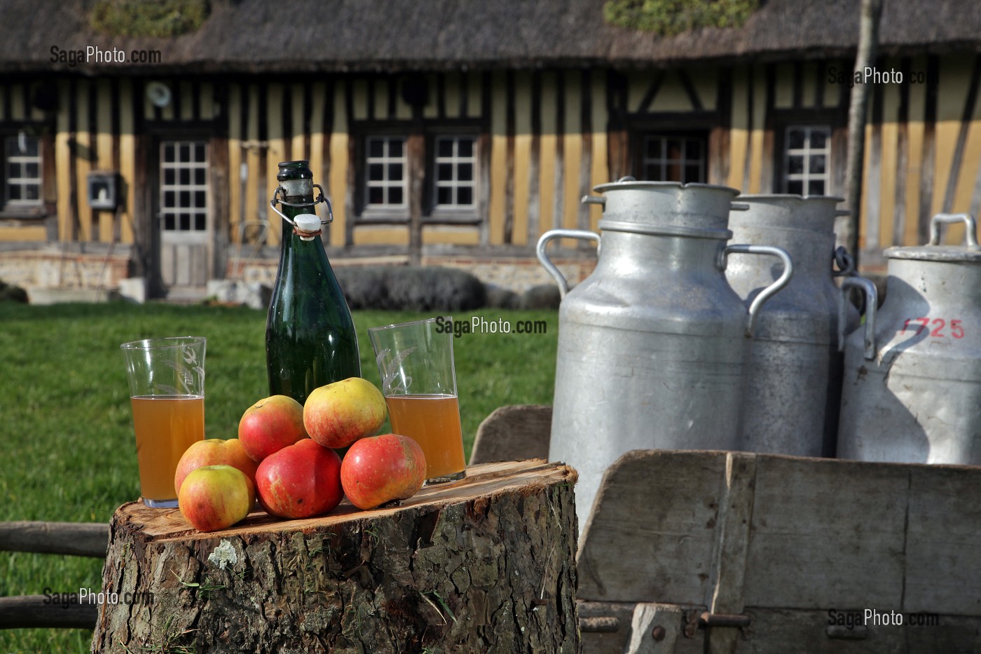 POMMES, CIDRE NORMAND ET BIDONS DE LAIT DEVANT UNE CHAUMIERE NORMANDE, BOURNEVILLE, REGION DE PONT-AUDEMER, EURE (27), FRANCE 