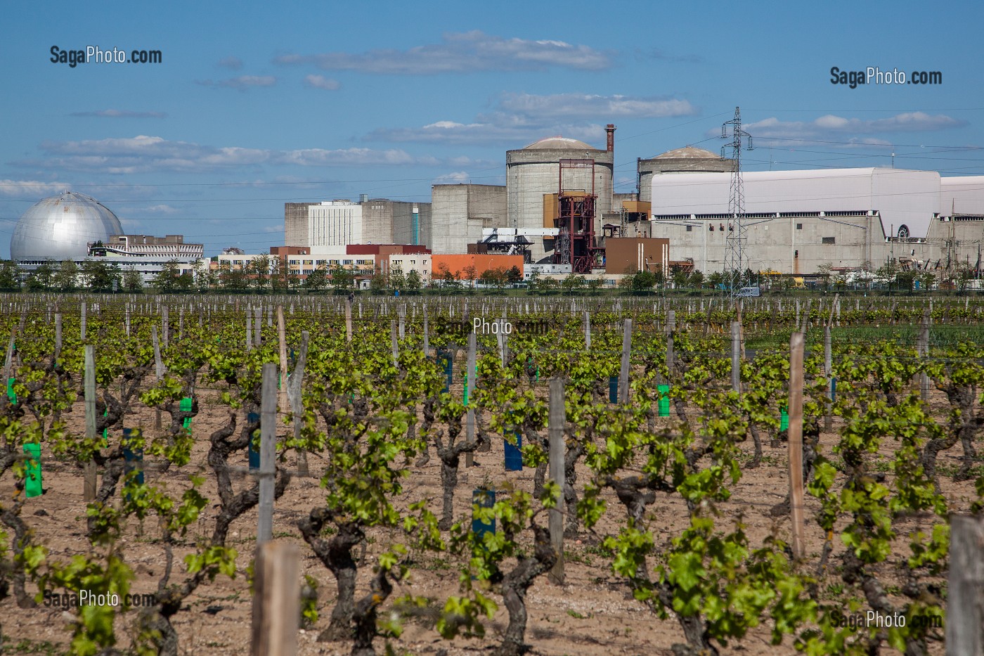VIGNOBLE PRES DE LA CENTRALE NUCLEAIRE DE CHINON, INDRE-ET-LOIRE (37), FRANCE 