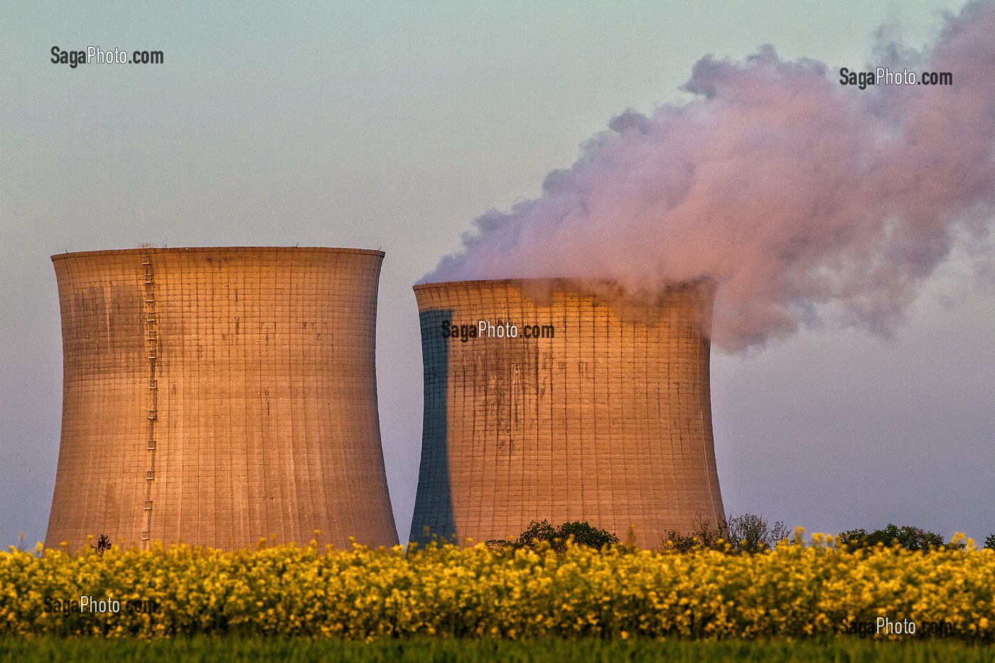 CENTRALE NUCLEAIRE DE SAINT-LAURENT-DES-EAUX, PRES D'UN CHAMP DE COLZA, SAINT-LAURENT-NOUAN, LOIR-ET-CHER (41), FRANCE 