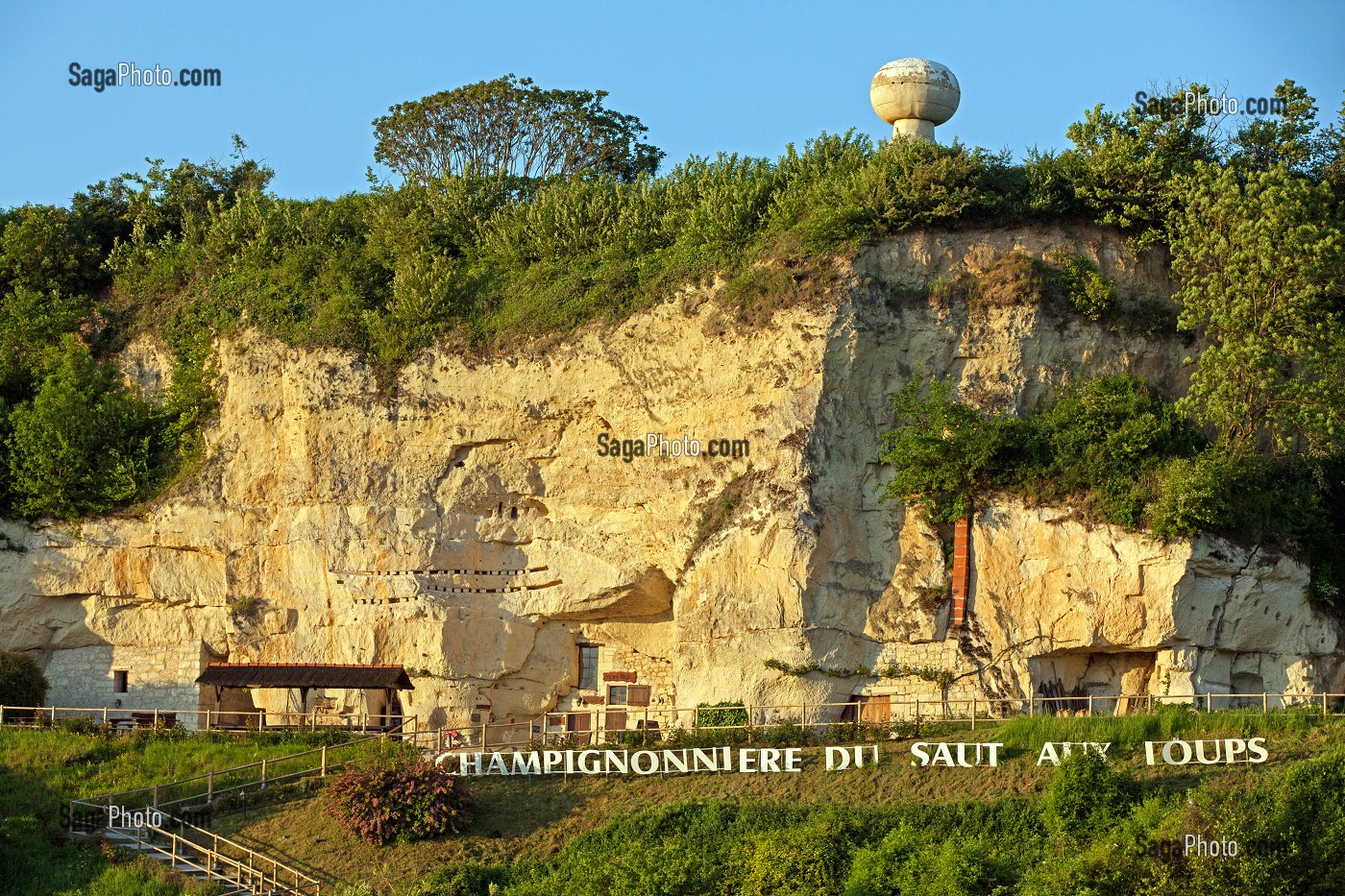 CHAMPIGNONNIERE DU SAUT AUX LOUPS, SITE TROGLODYTIQUE A MONTSOREAU, MAINE-ET-LOIRE (48), FRANCE 