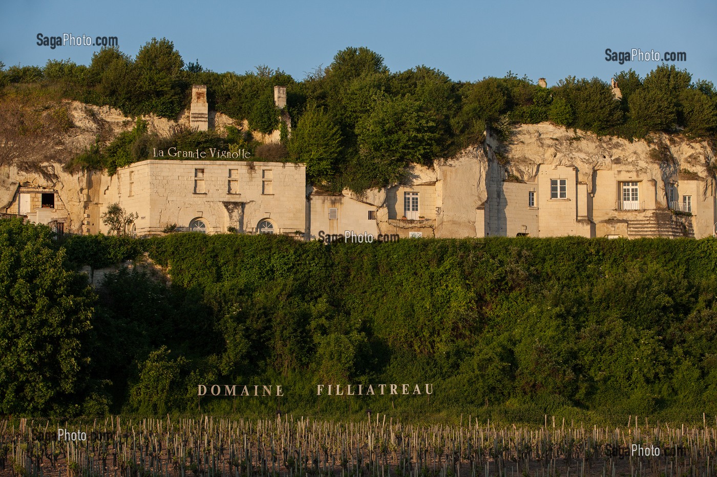 VIGNES DU DOMAINE FILLIATREAU DOMINEES PAR LA GRANDE VIGNOLLE, GITE DE FRANCE, ET LES MAISONS TROGLODYTIQUES DU VILLAGE METIERS D'ART TURQUANT, MAINE-ET-LOIRE (49), FRANCE 