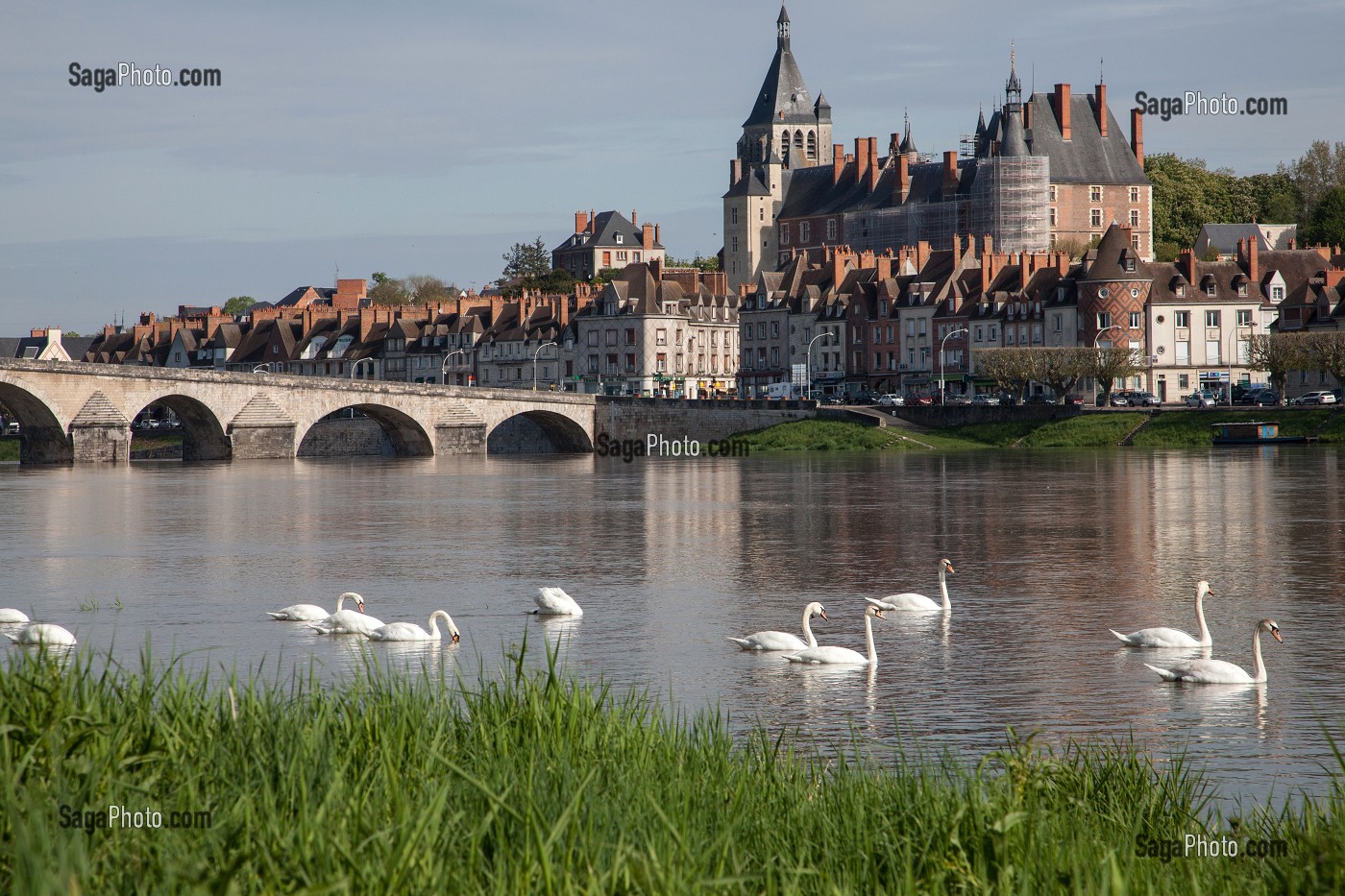 GROUPE DE CYGNES SUR LA LOIRE, PONT EN PIERRE, VILLE ET CHATEAU, GIEN, LOIRET (45), FRANCE 