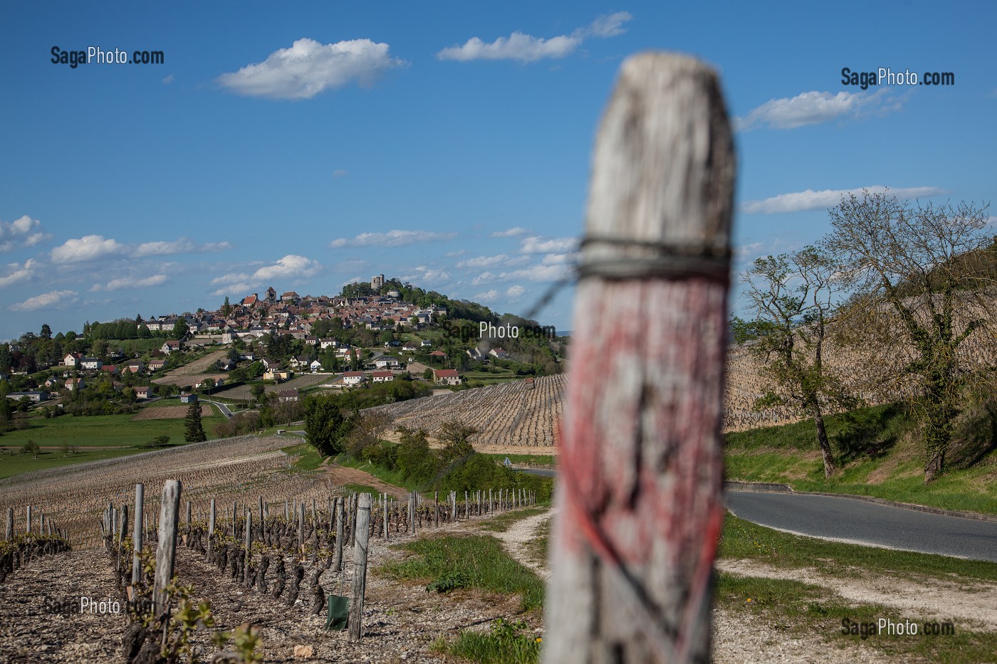 VIGNES ET VILLAGE DE SANCERRE, CHER (18), FRANCE 