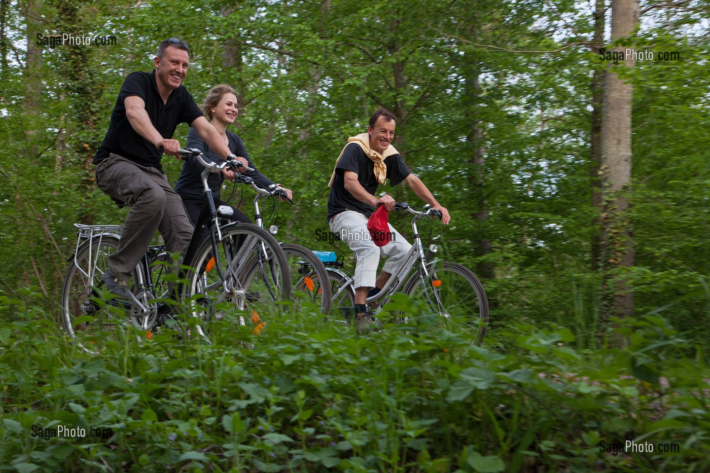 GROUPE DE CYCLISTES EN FORET DE CHAMBORD, ITINERAIRE DE LA LOIRE A VELO, LOIR-ET-CHER (41), FRANCE 