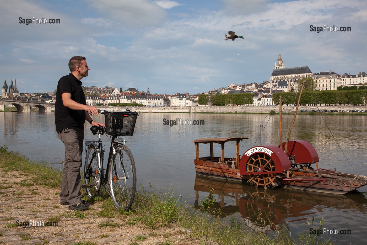 CYCLISTES SUR LES BORDS DE LOIRE DEVANT UN BATEAU A ROUE A AUBE ET CANARD EN VOL, CATHEDRALE SAINT-LOUIS EN FOND, ITINERAIRE DE LA LOIRE A VELO, BLOIS, LOIR-ET-CHER (41), FRANCE 