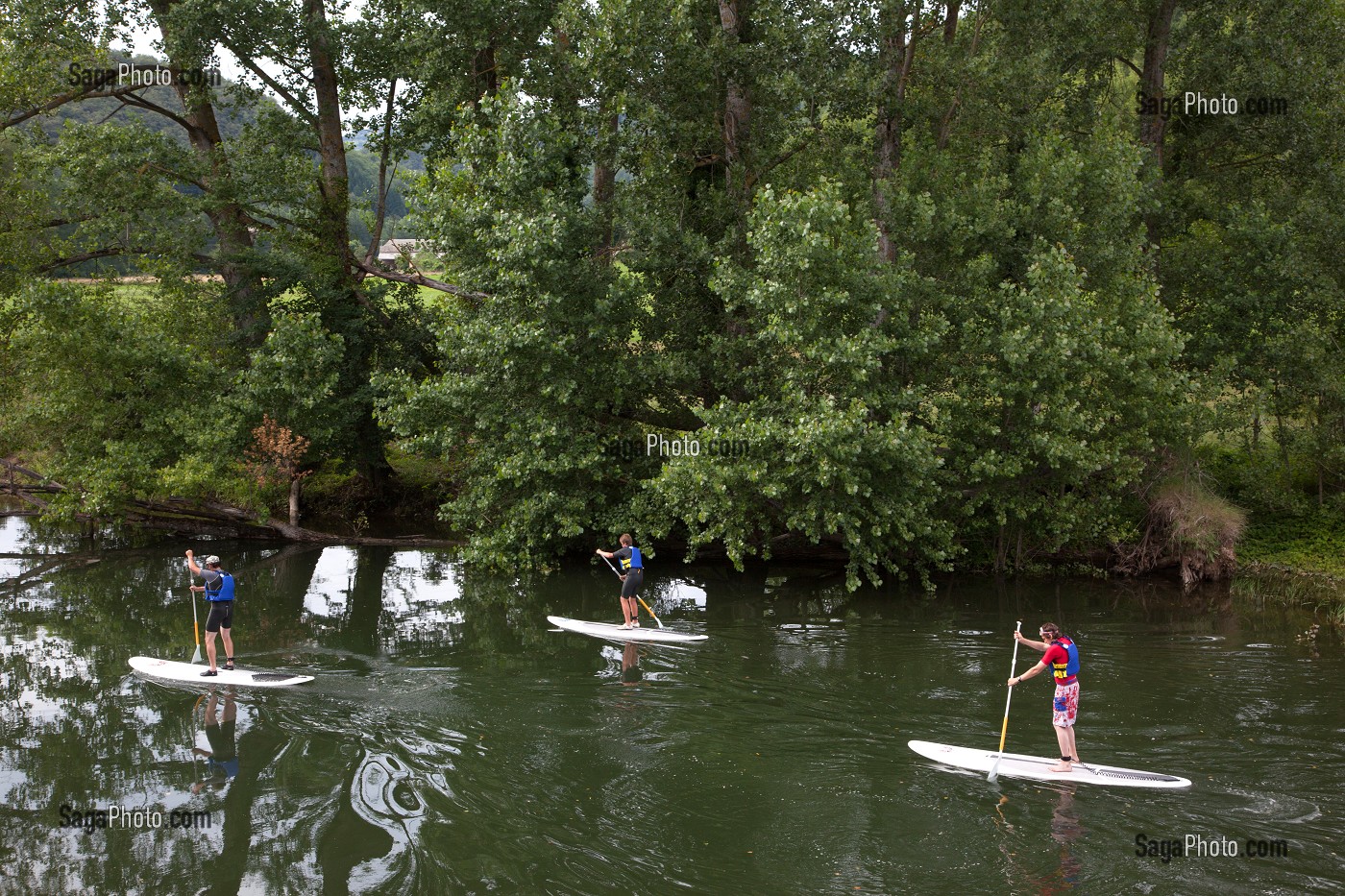 ACTIVITE SUP, STAND UP PADDLE, DESCENTE DE LA RIVIERE LE LOT DEBOUT SUR UNE PLANCHE, SAINTE-EULALIE D'OLT, AVEYRON (12), FRANCE 
