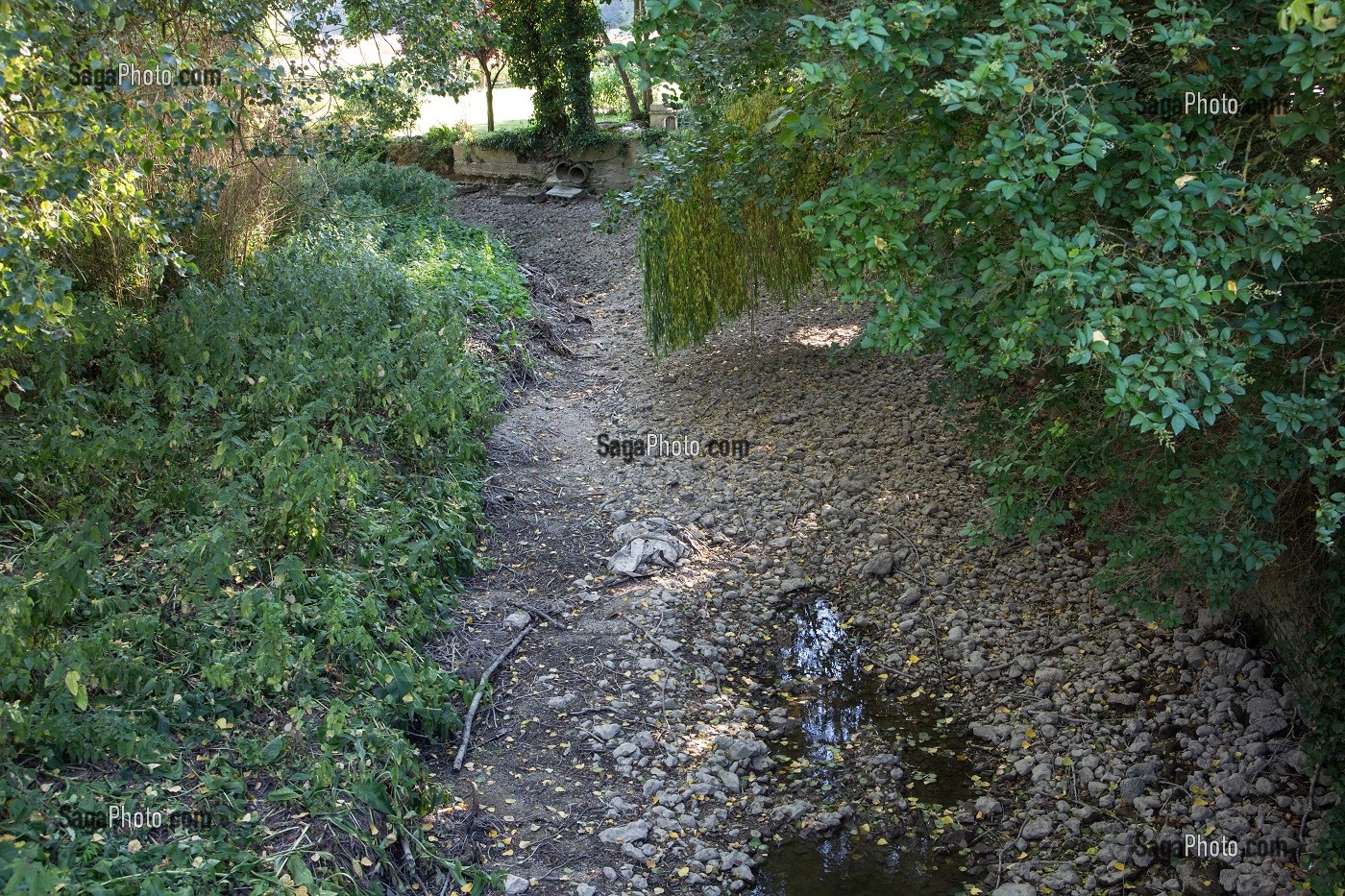 LIT DE LA RISLE ASSECHE APRES LA DISPARITION DE LA RIVIERE DANS UNE BETOIRE, ENORME TROU DE PLUSIEURS METRES DANS LA TERRE QUI AVALE TOUT LE DEBIT DE L'EAU, LA HOUSSAYE, EURE (27), FRANCE 