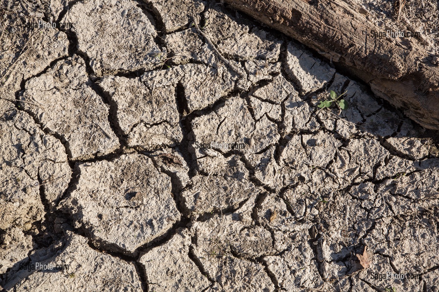 LIT DE LA RISLE ASSECHE APRES LA DISPARITION DE LA RIVIERE DANS UNE BETOIRE, ENORME TROU DE PLUSIEURS METRES DANS LA TERRE QUI AVALE TOUT LE DEBIT DE L'EAU, ASSECHANT LE LIT DE LA RIVIERE SUR PLUS DE 12 KILOMETRES, GROSLEY-SUR-RISLE, EURE (27), FRANCE 