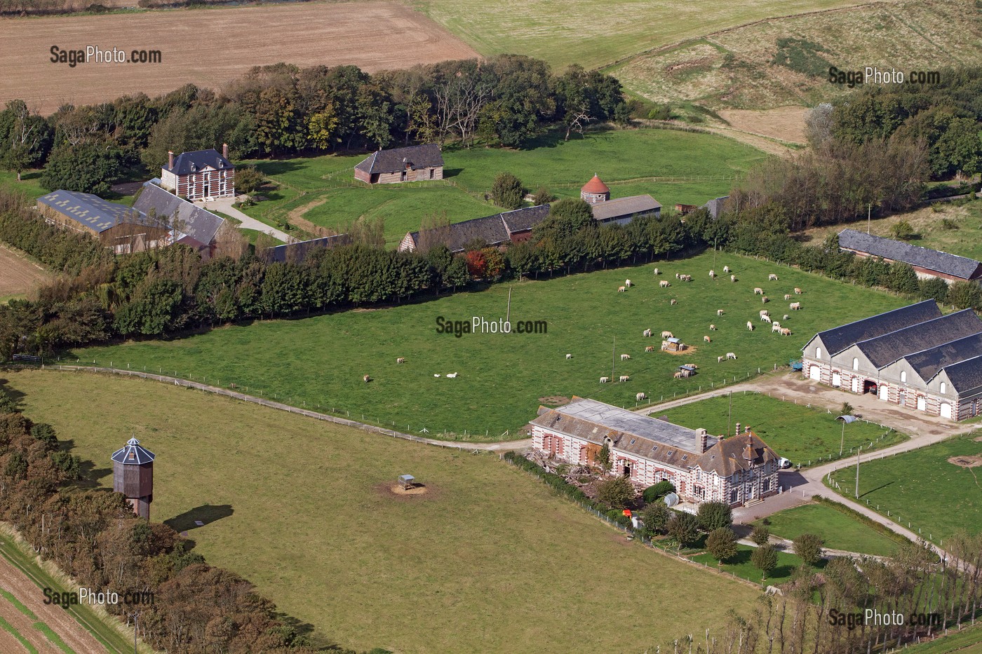 VUE AERIENNE D'UNE FERME AVEC DES VACHES, COTE D'ALBATRE, SEINE-MARITIME (76), FRANCE 