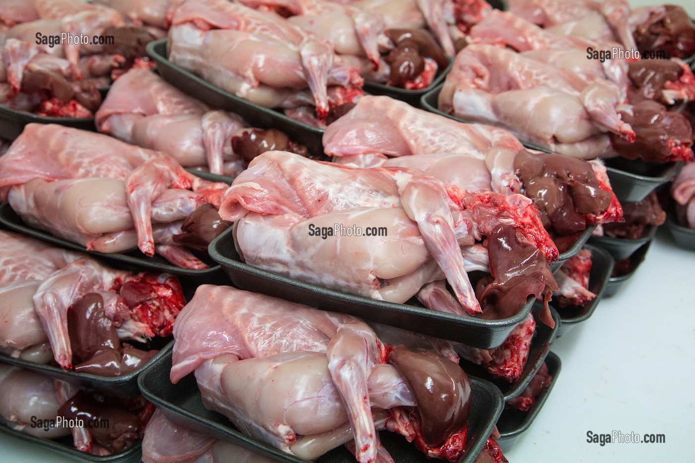 MISE EN BARQUETTES DES LAPINS DU BOIS ROUVRAY DECOUPES POUR LA VENTE, LABEL PRODUITS TERRES D'EURE-ET-LOIR, CHARTRES, EURE-ET-LOIR (28), FRANCE 