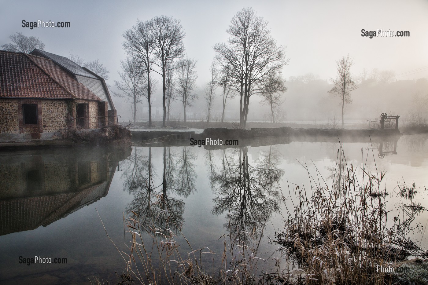 RIVIERE LA RISLE DANS LA BRUME DU PETIT MATIN, RUGLES, EURE (27), FRANCE 