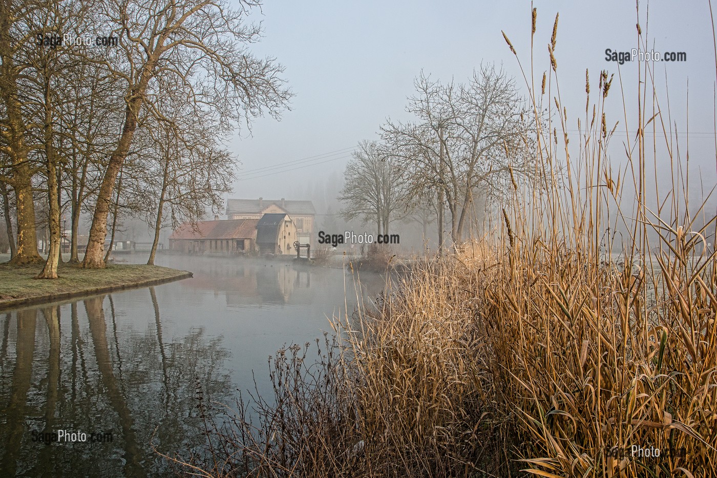 RIVIERE LA RISLE DANS LA BRUME DU PETIT MATIN, RUGLES, EURE (27), FRANCE 