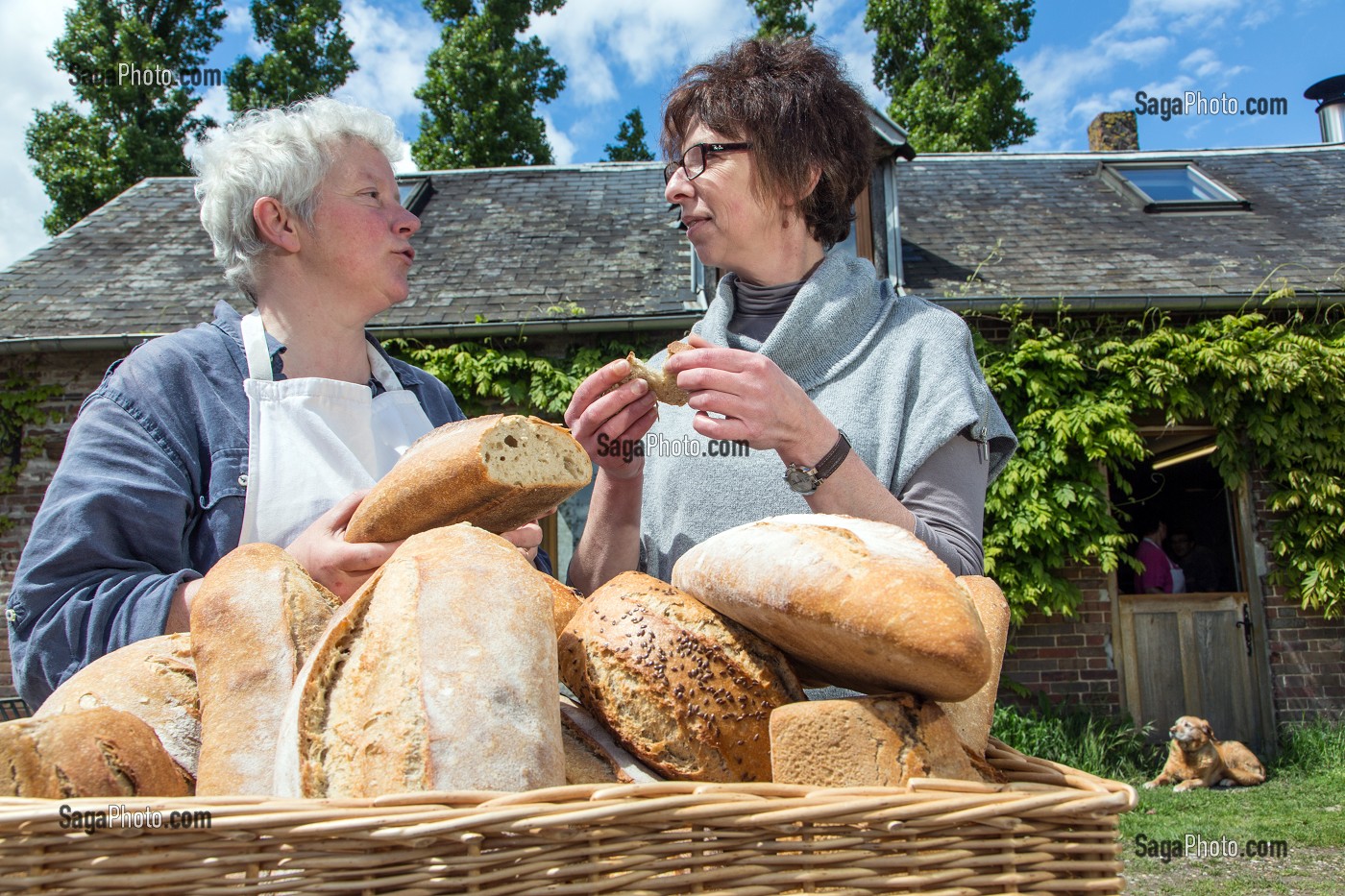 BLANDINE ZOUTARD FAISANT GOUTER SON PAIN BIO A NATHALIE DE WEVER, COMMERCANTE ET ADHERENTE DU MOUVEMENT LOCAVORE, DEVANT SA BOULANGERIE, FERME DE SAINT-MAMERT, BUIS-SOUS-DANVILLE, EURE (27), FRANCE 