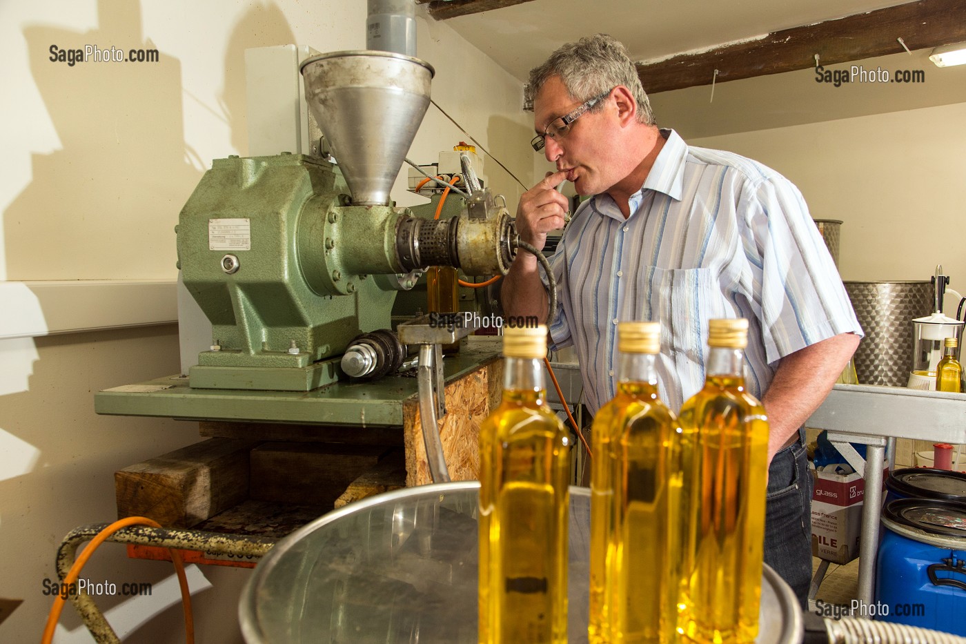 JEAN-MARIE LENFANT, PRODUCTEUR D'HUILE DE COLZA ET DE TOURNESOL, CONTROLANT LA QUALITE DE SON HUILE, DEVANT DES BOUTEILLES D'HUILE DE COLZA, LA COUTURE-BOUSSEY, EURE (27), FRANCE 