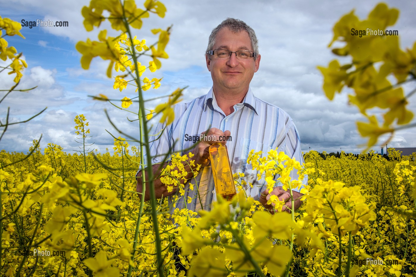 JEAN-MARIE LENFANT, PRODUCTEUR D'HUILE DE COLZA ET DE TOURNESOL, PRESENTANT SA PRODUCTION DANS UN CHAMPS DE COLZA, LA COUTURE-BOUSSEY, EURE (27), FRANCE 