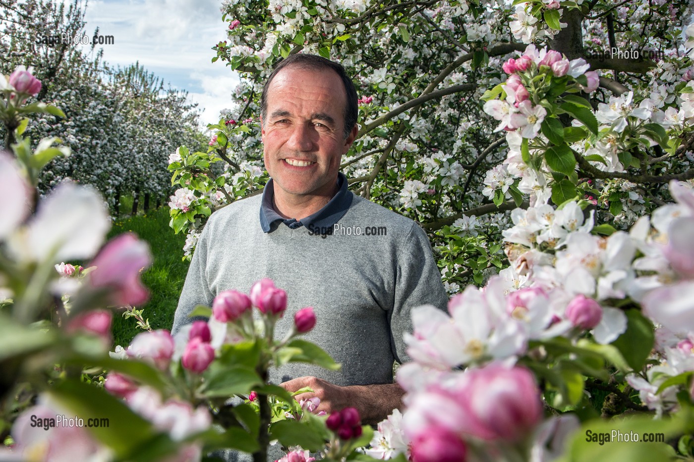 ERIC DORE, PRODUCTEUR CIDRICOLE DU PRESSOIR D'OR, DANS SON VERGER DE POMMIERS EN FLEURS, BOISEMONT, EURE (27), FRANCE 