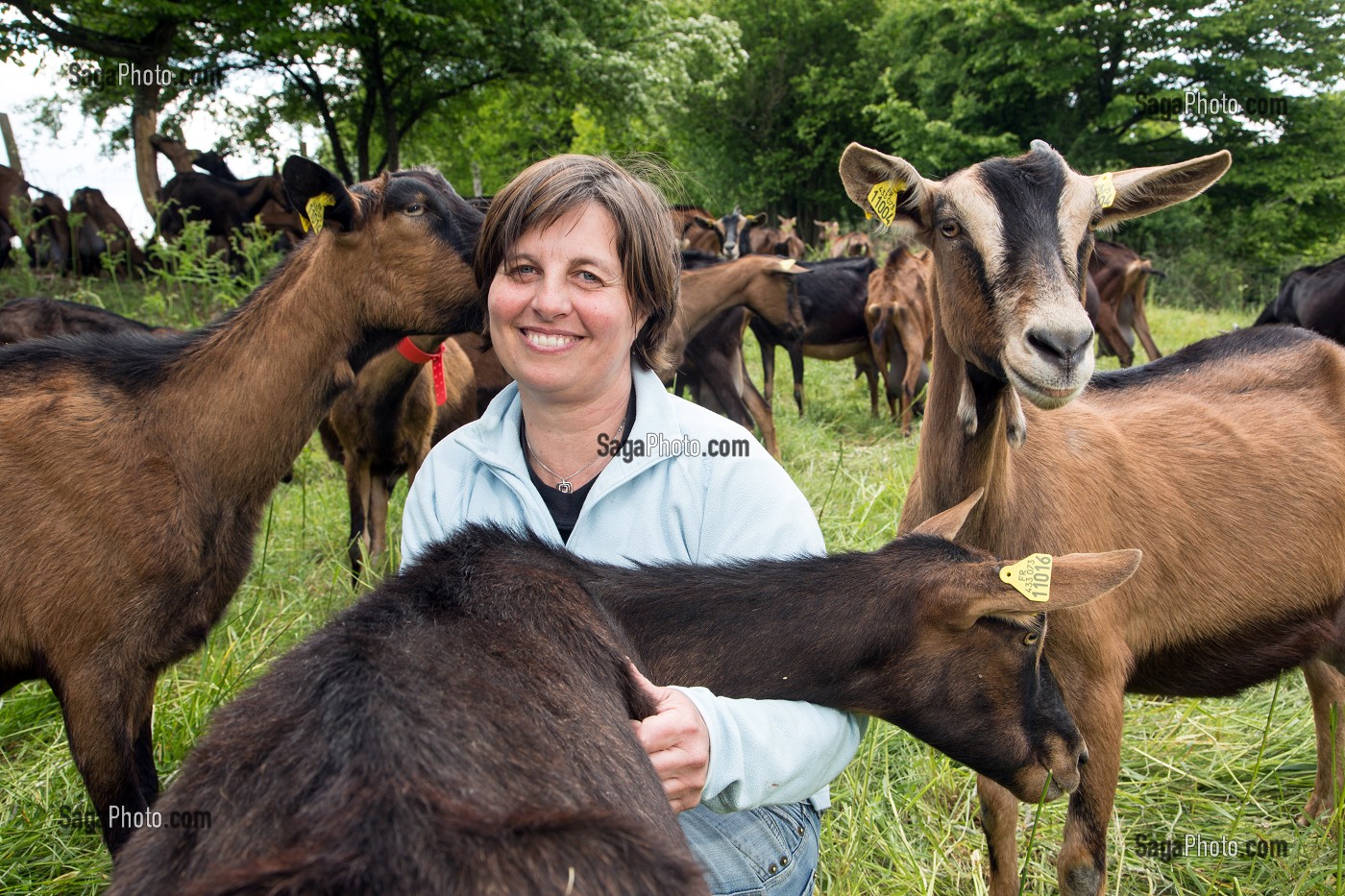 SYLVIE LHOSTE, ELEVEUSE, AU MILIEU DE SES CHEVRES, ELEVAGE DE CHEVRES, A LA FERME DE LA HUTTE, LONGNY-AU-PERCHE, ORNE (61), FRANCE 