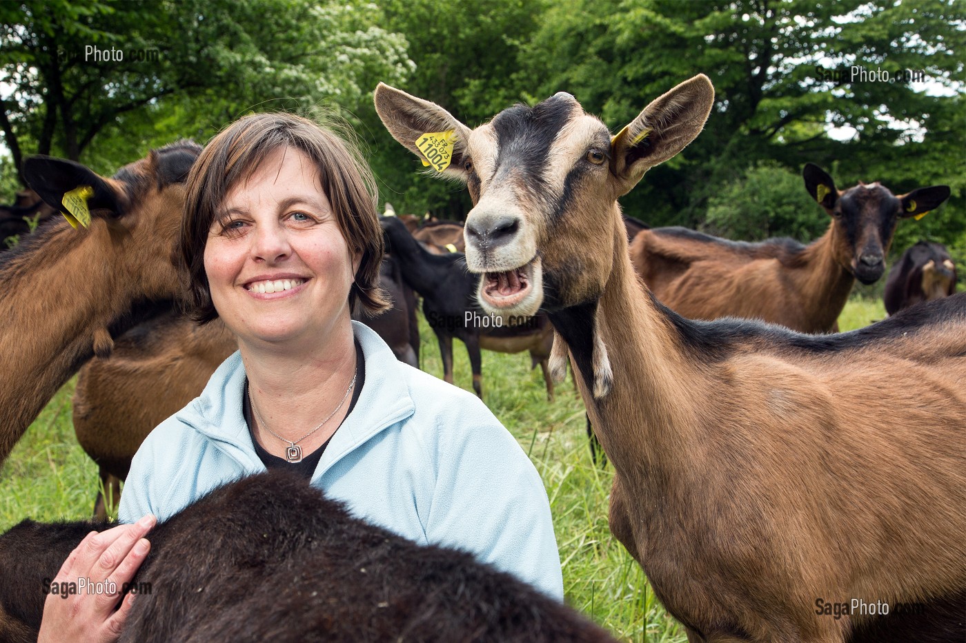 SYLVIE LHOSTE, ELEVEUSE, AU MILIEU DE SES CHEVRES, ELEVAGE DE CHEVRES, A LA FERME DE LA HUTTE, LONGNY-AU-PERCHE, ORNE (61), FRANCE 